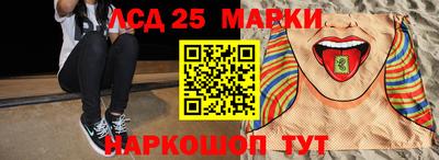сатива Новозыбков