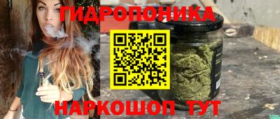 сатива Новозыбков
