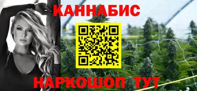сатива Новозыбков