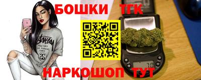 сатива Новозыбков