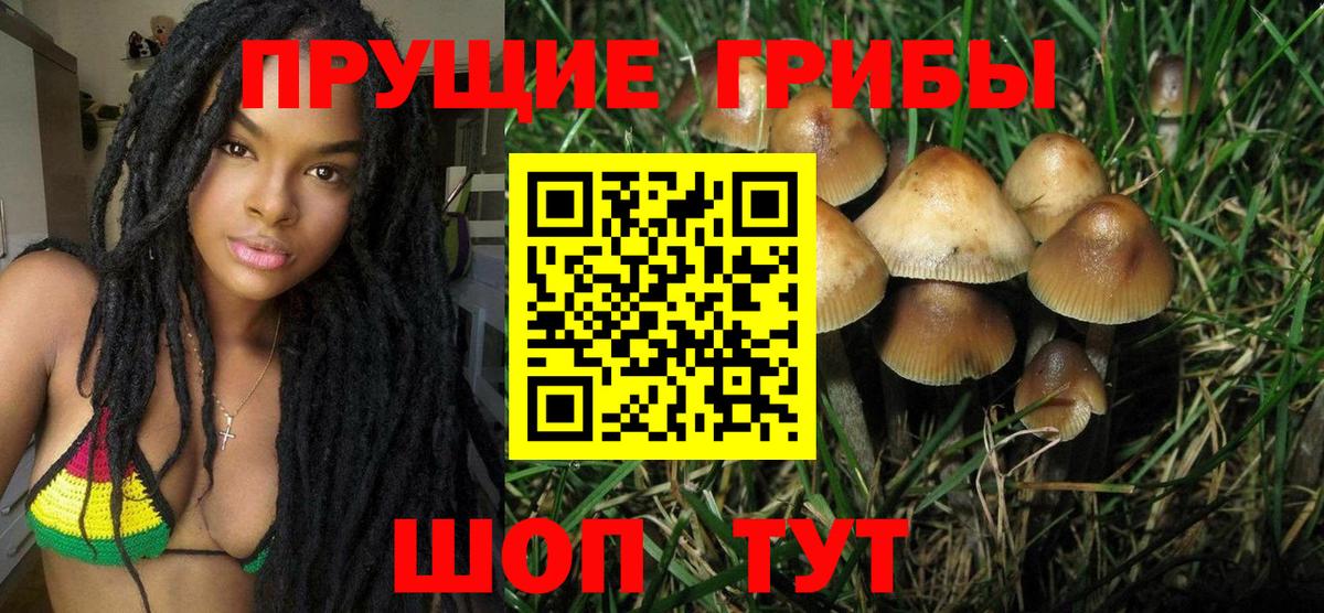 Старая Купавна  Галлюциногенные грибы прущие грибы  Вход с VPN 
